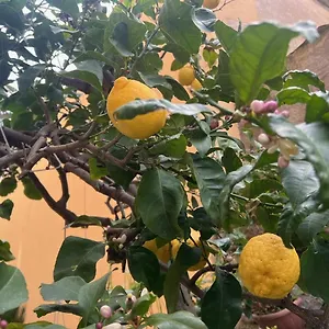 Vicino Al Mare Appartement