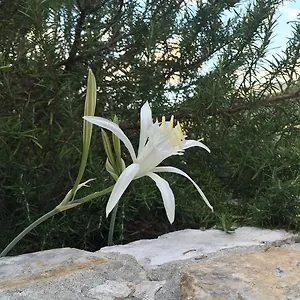 Guest house Ca' Di Bianca, Moneglia